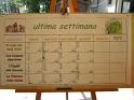 Grest_2012-19-7 115